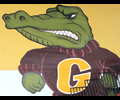 Goleman Gators
