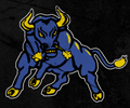 Northwestern Bulls